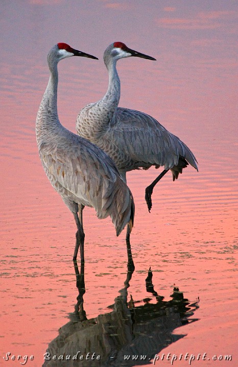 2009-01-04 17-49-20__MG_0211.JPG